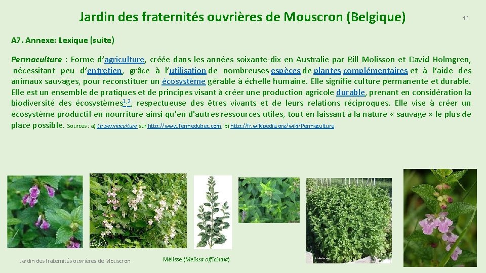 Jardin des fraternités ouvrières de Mouscron (Belgique) 46 A 7. Annexe: Lexique (suite) Permaculture
