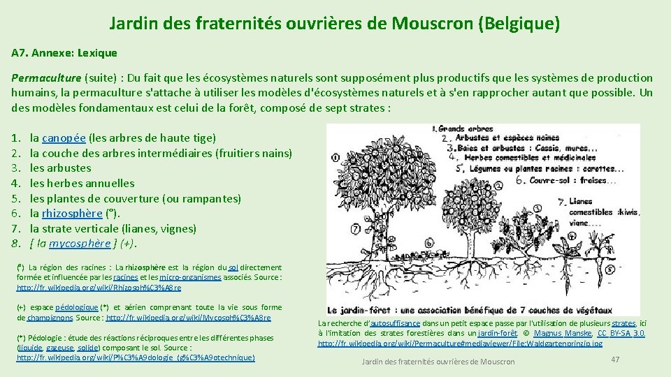 Jardin des fraternités ouvrières de Mouscron (Belgique) A 7. Annexe: Lexique Permaculture (suite) :