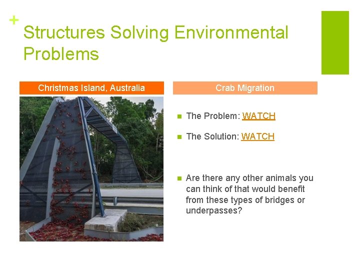+ Structures Solving Environmental Problems Christmas Island, Australia Crab Migration n The Problem: WATCH