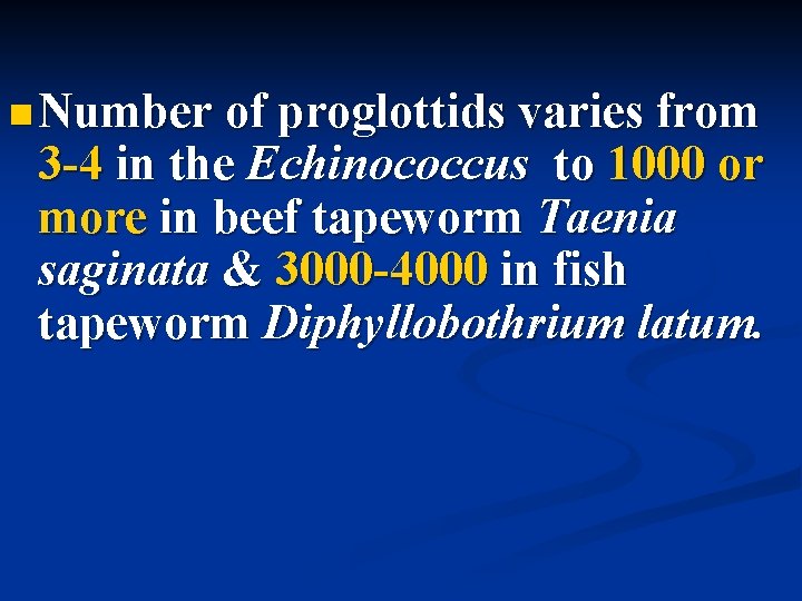  Number of proglottids varies from 3 -4 in the Echinococcus to 1000 or