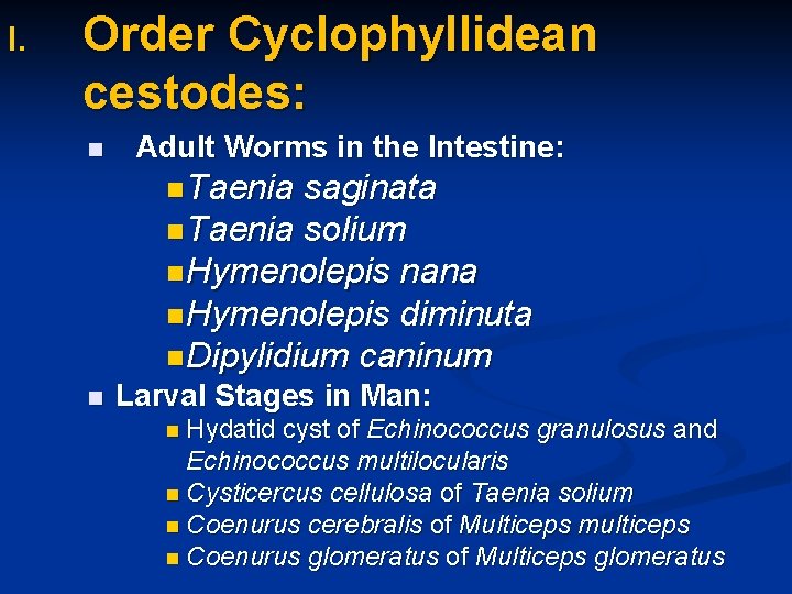 I. Order Cyclophyllidean cestodes: Adult Worms in the Intestine: Taenia saginata Taenia solium Hymenolepis