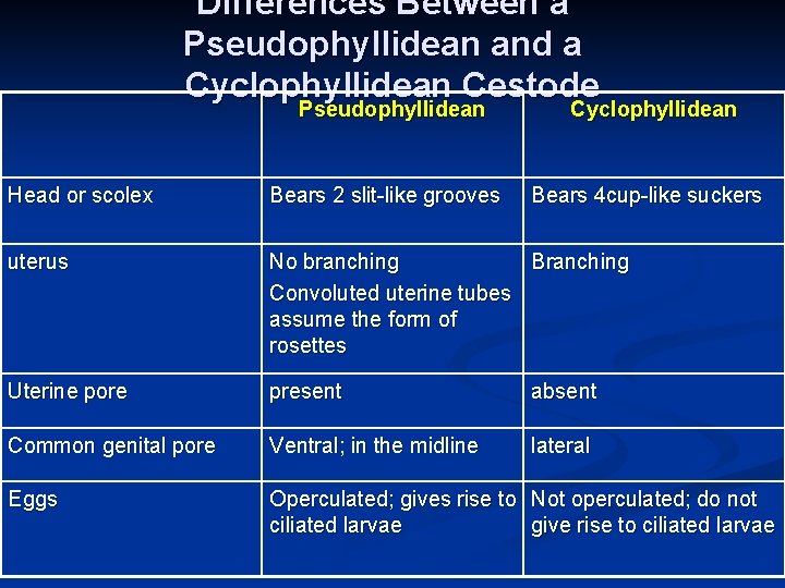 Differences Between a Pseudophyllidean and a Cyclophyllidean Cestode Pseudophyllidean Cyclophyllidean Head or scolex Bears
