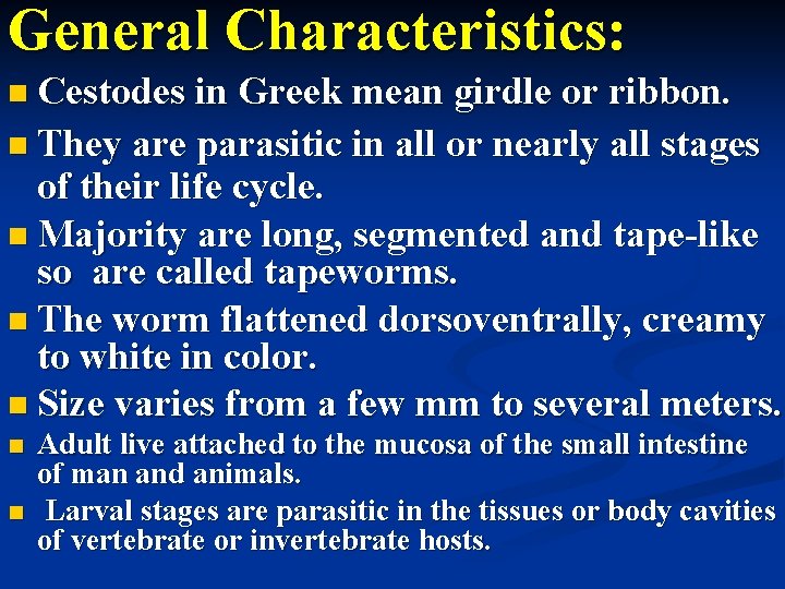 General Characteristics: Cestodes in Greek mean girdle or ribbon. They are parasitic in all