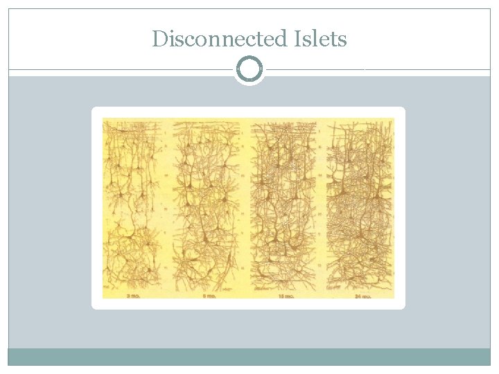 Disconnected Islets 