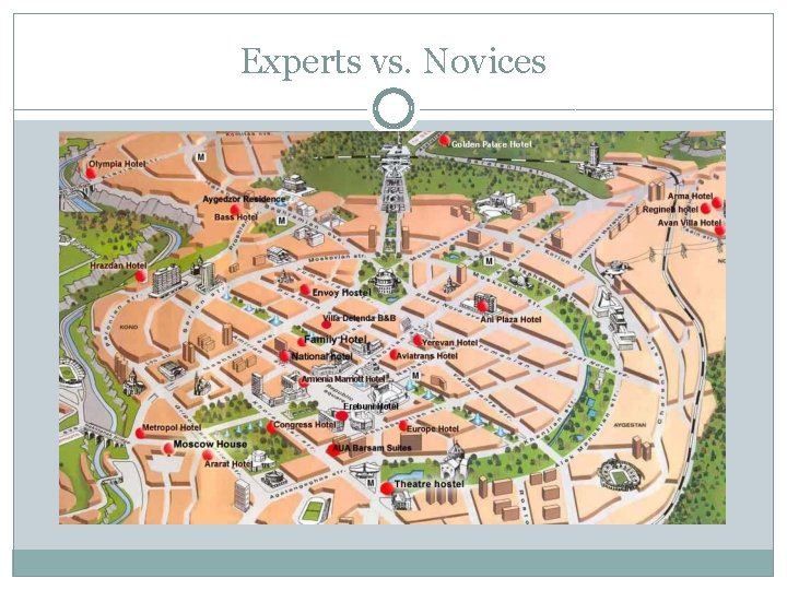 Experts vs. Novices 