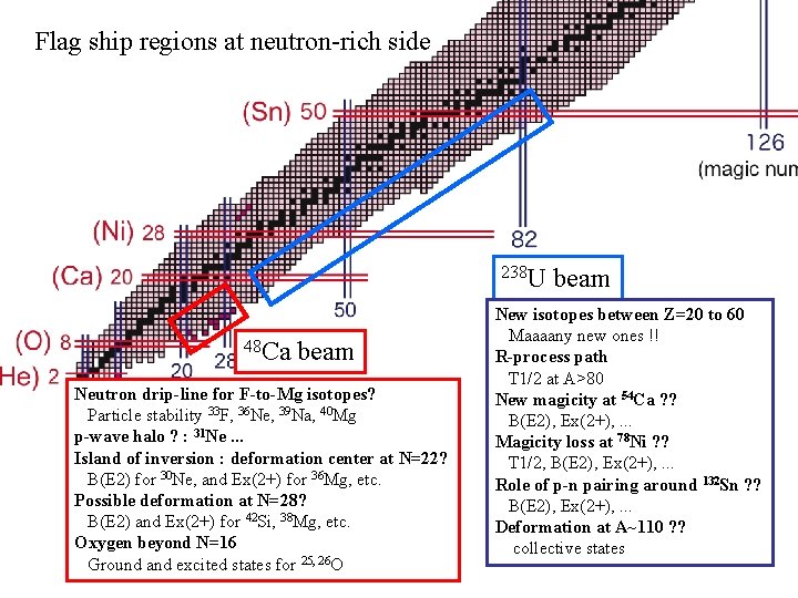 Flag ship regions at neutron-rich side 238 U 48 Ca beam Neutron drip-line for
