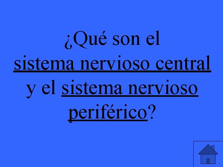 ¿Qué son el sistema nervioso central y el sistema nervioso periférico? 