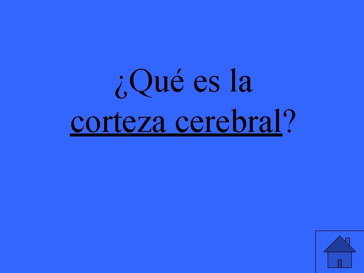 ¿Qué es la corteza cerebral? 