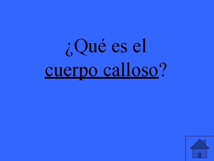 ¿Qué es el cuerpo calloso? 