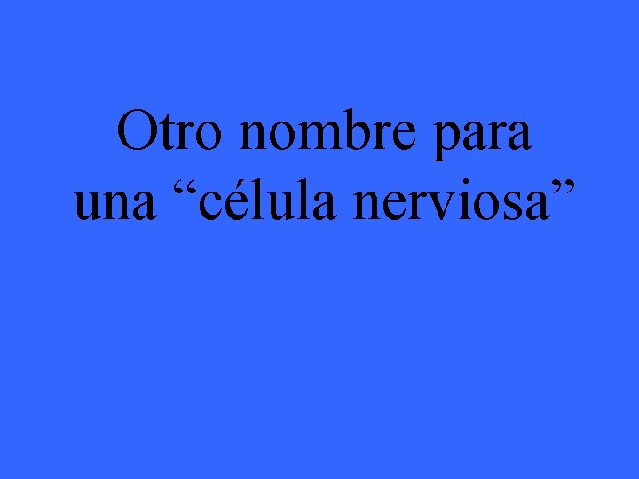 Otro nombre para una “célula nerviosa” 