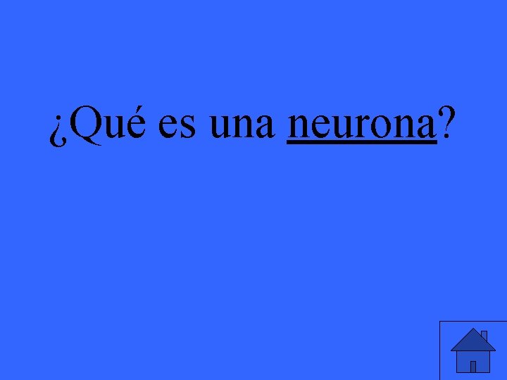 ¿Qué es una neurona? 