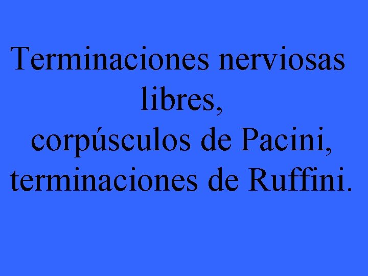 Terminaciones nerviosas libres, corpúsculos de Pacini, terminaciones de Ruffini. 