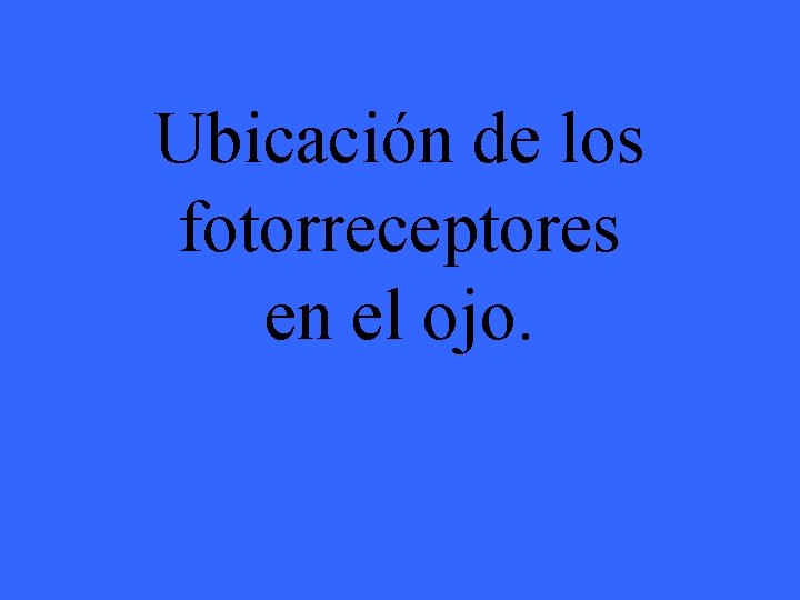 Ubicación de los fotorreceptores en el ojo. 