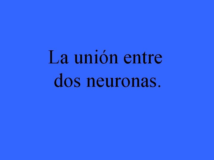 La unión entre dos neuronas. 