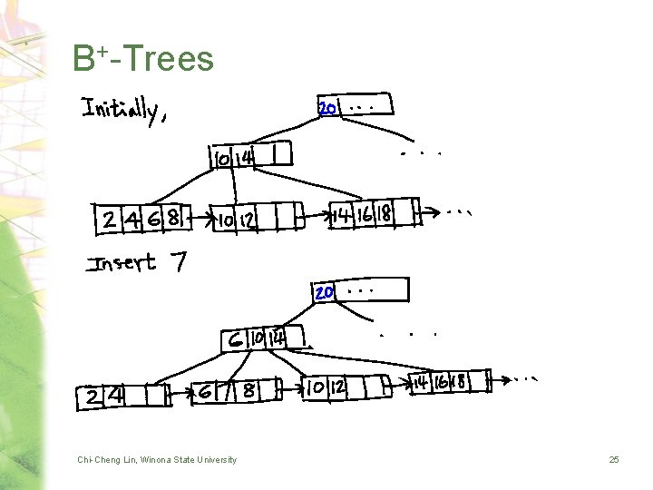 B+-Trees Chi-Cheng Lin, Winona State University 25 