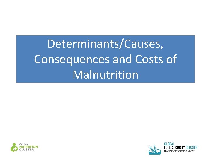 Determinants/Causes, Consequences and Costs of Malnutrition 