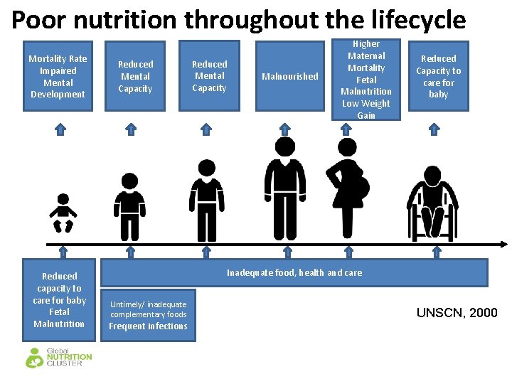 Poor nutrition throughout the lifecycle Mortality Rate Impaired Mental Development Reduced capacity to care