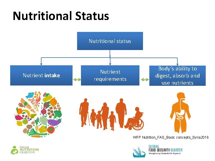 Nutritional Status Nutritional status Nutrient intake Nutrient requirements Body’s ability to digest, absorb and