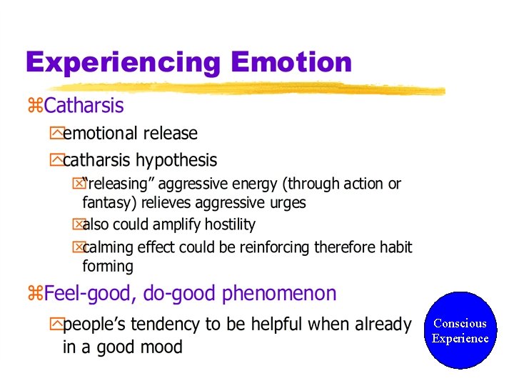Conscious Experience  Conscious Experience