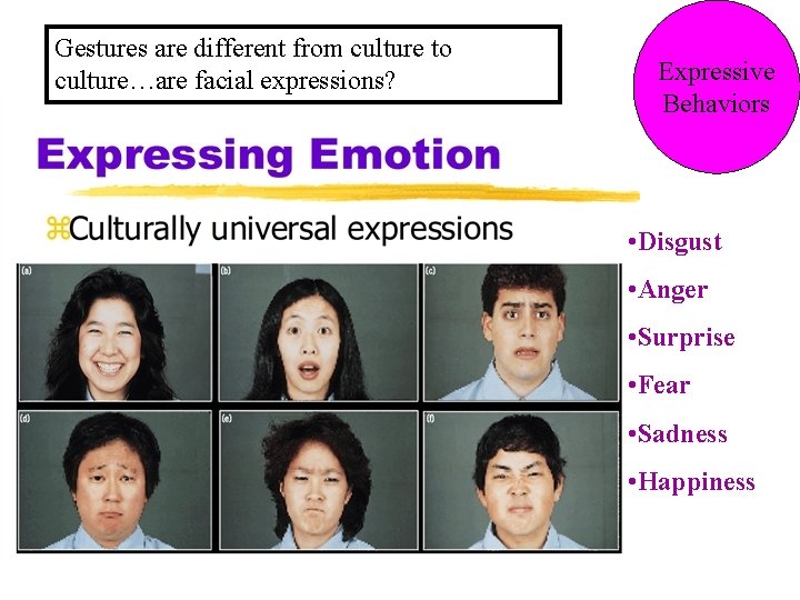 Gestures are different from culture to culture…are facial expressions? Expressive Behaviors • Disgust • Gestures are different from culture to culture…are facial expressions? Expressive Behaviors • Disgust •