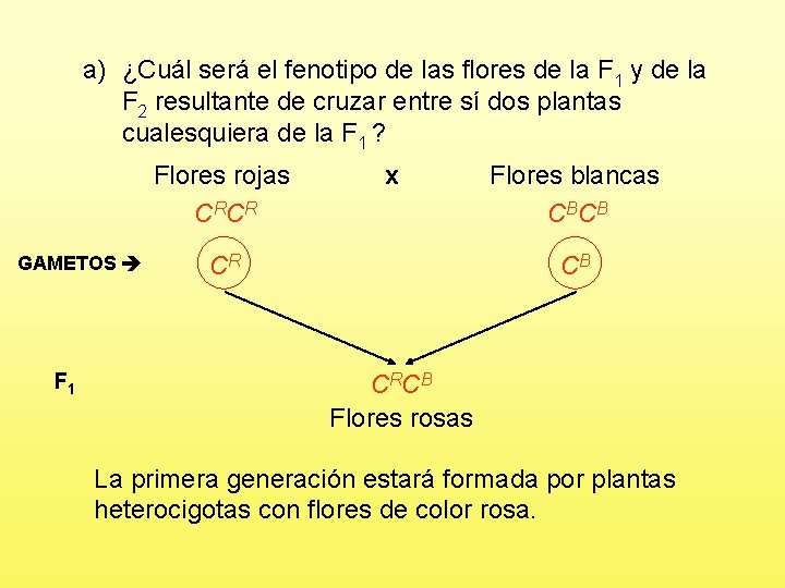 a) ¿Cuál será el fenotipo de las flores de la F 1 y de