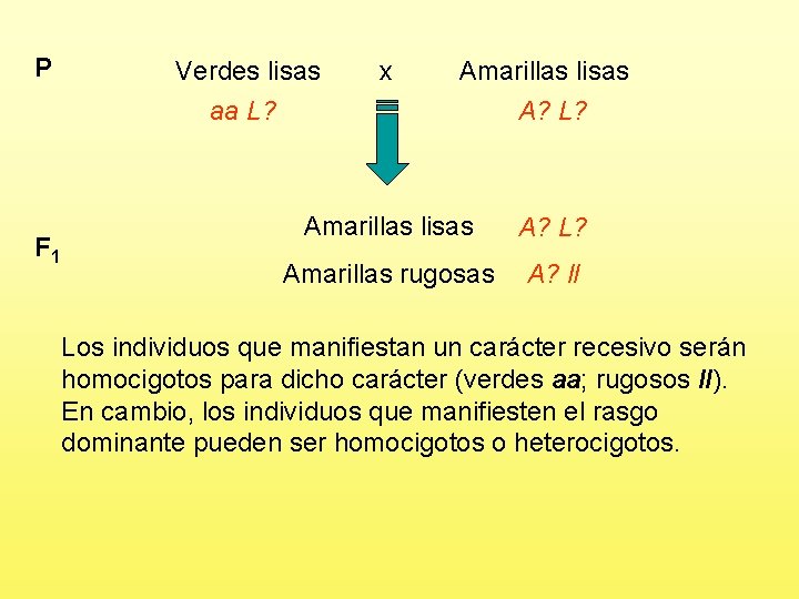 P F 1 Verdes lisas aa L? x Amarillas lisas A? L? Amarillas rugosas