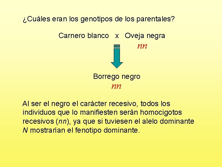 ¿Cuáles eran los genotipos de los parentales? Carnero blanco x Oveja negra nn Borrego