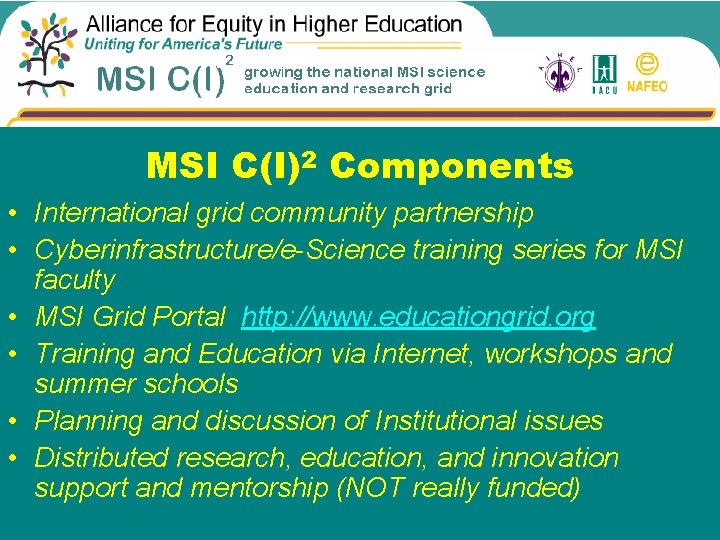 MSI C(I)2 Components • International grid community partnership • Cyberinfrastructure/e-Science training series for MSI