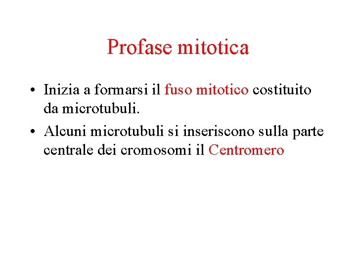 Profase mitotica • Inizia a formarsi il fuso mitotico costituito da microtubuli. • Alcuni