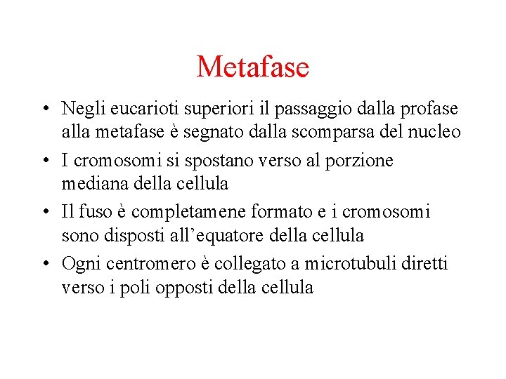 Metafase • Negli eucarioti superiori il passaggio dalla profase alla metafase è segnato dalla