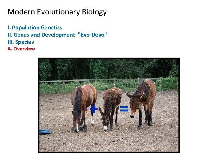 Modern Evolutionary Biology I. Population Genetics II. Genes and Development: "Evo-Devo" III. Species A.