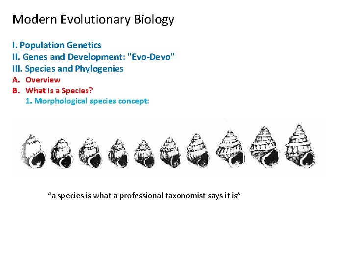 Modern Evolutionary Biology I. Population Genetics II. Genes and Development: "Evo-Devo" III. Species and