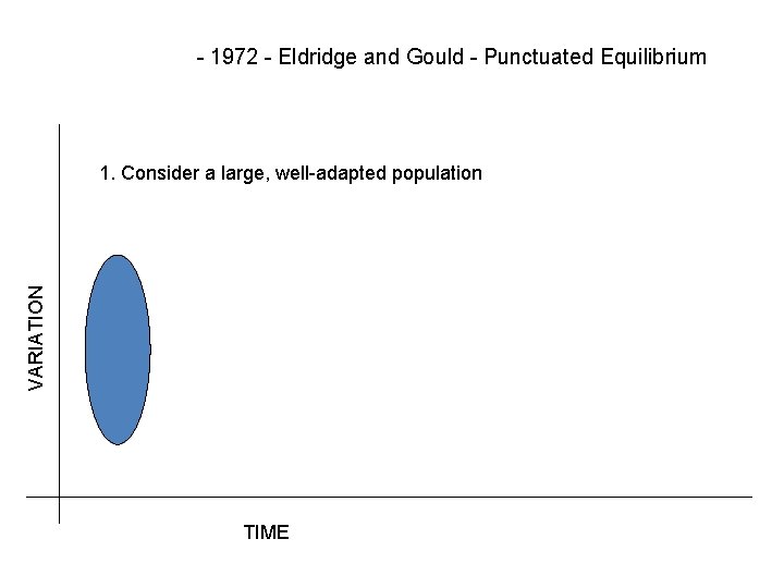 - 1972 - Eldridge and Gould - Punctuated Equilibrium VARIATION 1. Consider a large,