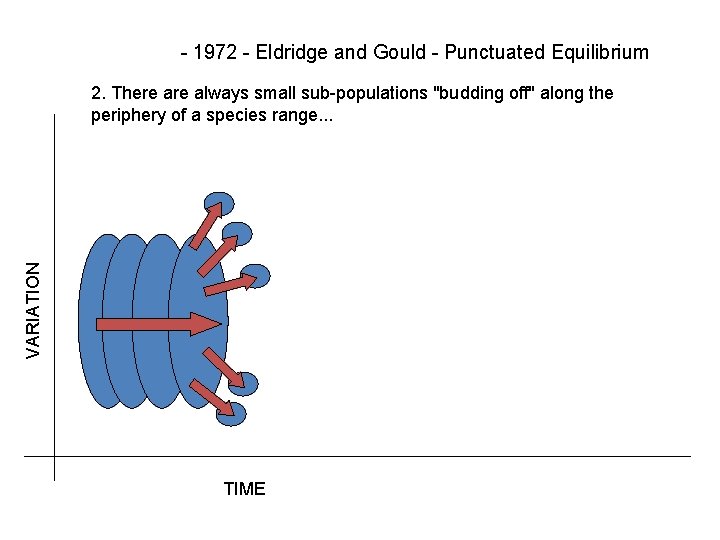 - 1972 - Eldridge and Gould - Punctuated Equilibrium VARIATION 2. There always small