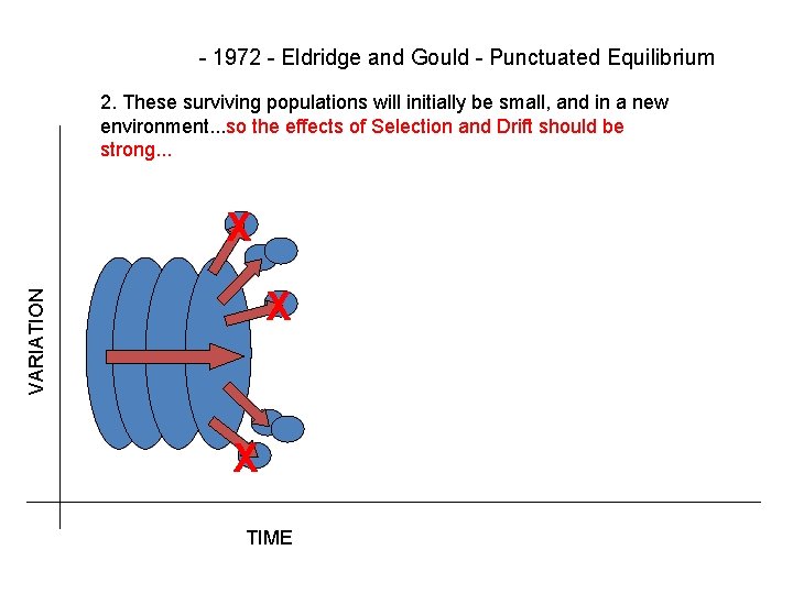 - 1972 - Eldridge and Gould - Punctuated Equilibrium 2. These surviving populations will