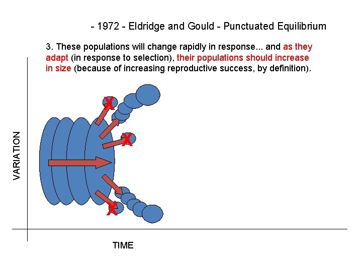 - 1972 - Eldridge and Gould - Punctuated Equilibrium 3. These populations will change