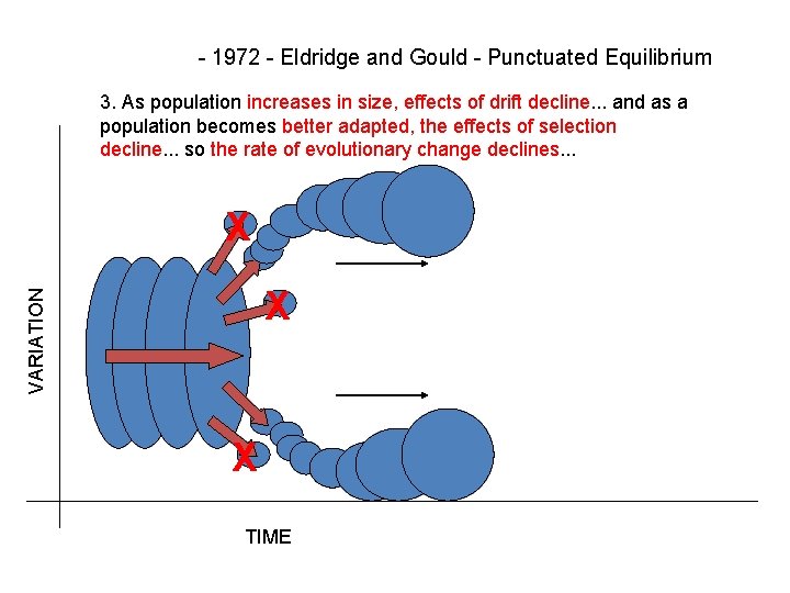 - 1972 - Eldridge and Gould - Punctuated Equilibrium 3. As population increases in