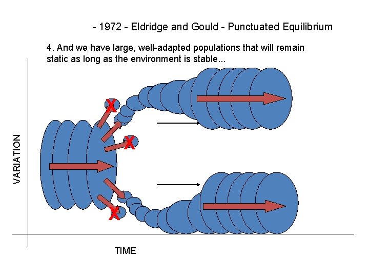 - 1972 - Eldridge and Gould - Punctuated Equilibrium 4. And we have large,
