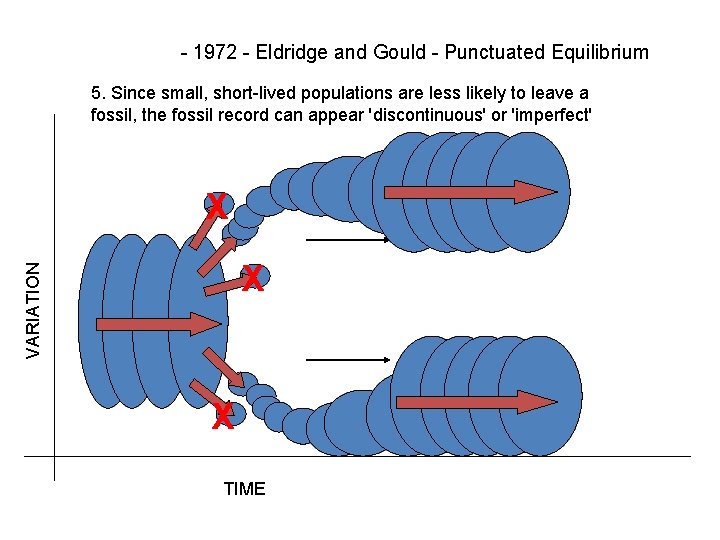 - 1972 - Eldridge and Gould - Punctuated Equilibrium 5. Since small, short-lived populations