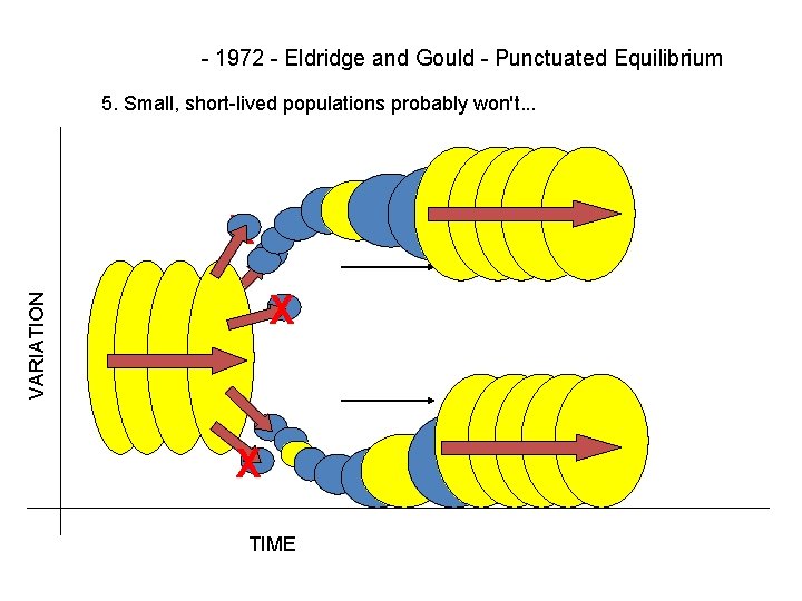 - 1972 - Eldridge and Gould - Punctuated Equilibrium 5. Small, short-lived populations probably