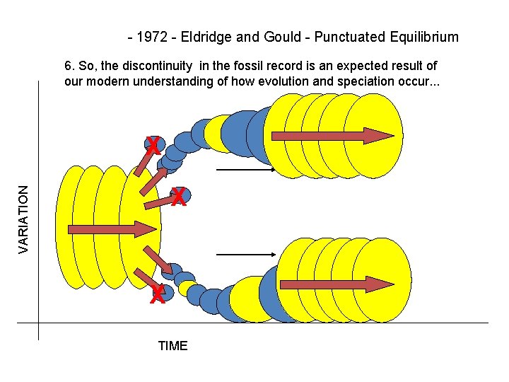 - 1972 - Eldridge and Gould - Punctuated Equilibrium 6. So, the discontinuity in