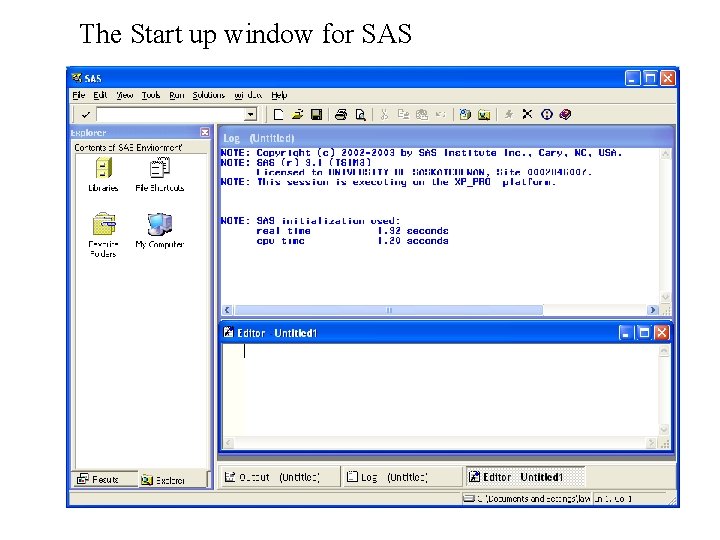 The Start up window for SAS 