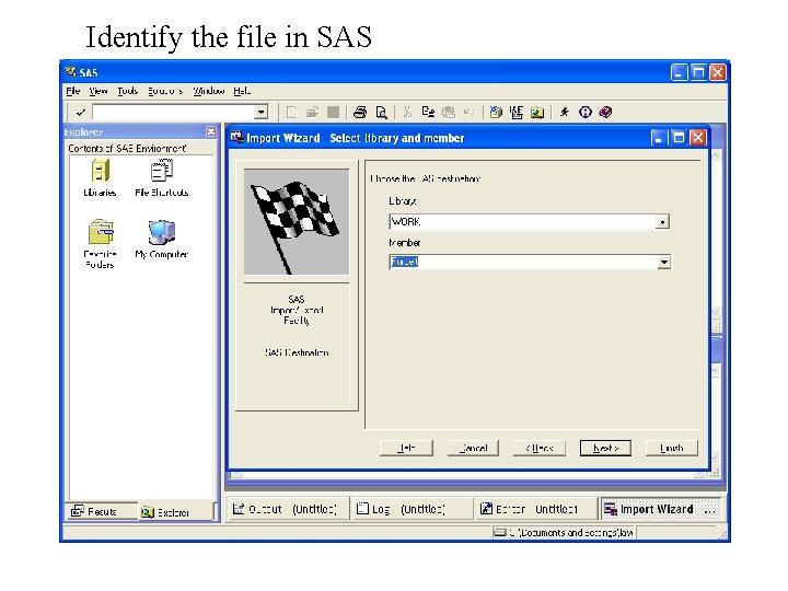 Identify the file in SAS 
