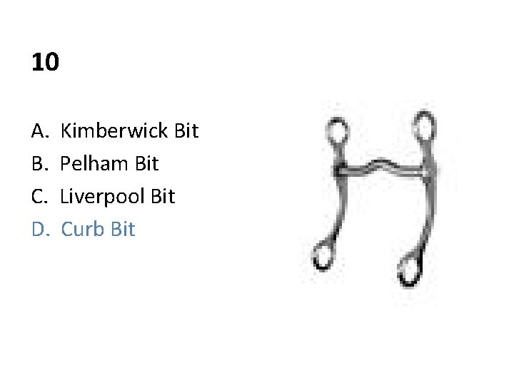 10 A. B. C. D. Kimberwick Bit Pelham Bit Liverpool Bit Curb Bit 