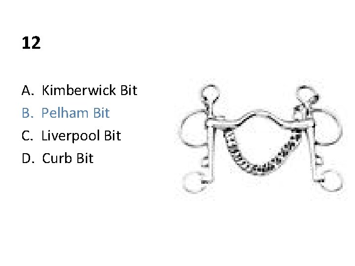 12 A. B. C. D. Kimberwick Bit Pelham Bit Liverpool Bit Curb Bit 