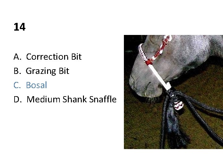 14 A. B. C. D. Correction Bit Grazing Bit Bosal Medium Shank Snaffle 