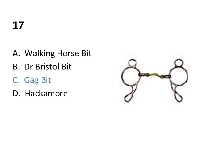 17 A. B. C. D. Walking Horse Bit Dr Bristol Bit Gag Bit Hackamore