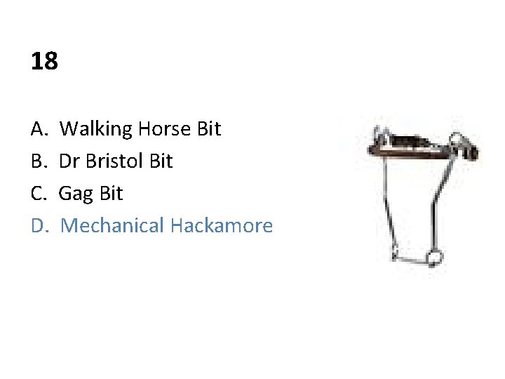 18 A. B. C. D. Walking Horse Bit Dr Bristol Bit Gag Bit Mechanical