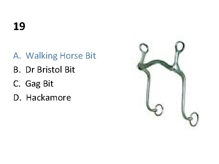 19 A. B. C. D. Walking Horse Bit Dr Bristol Bit Gag Bit Hackamore