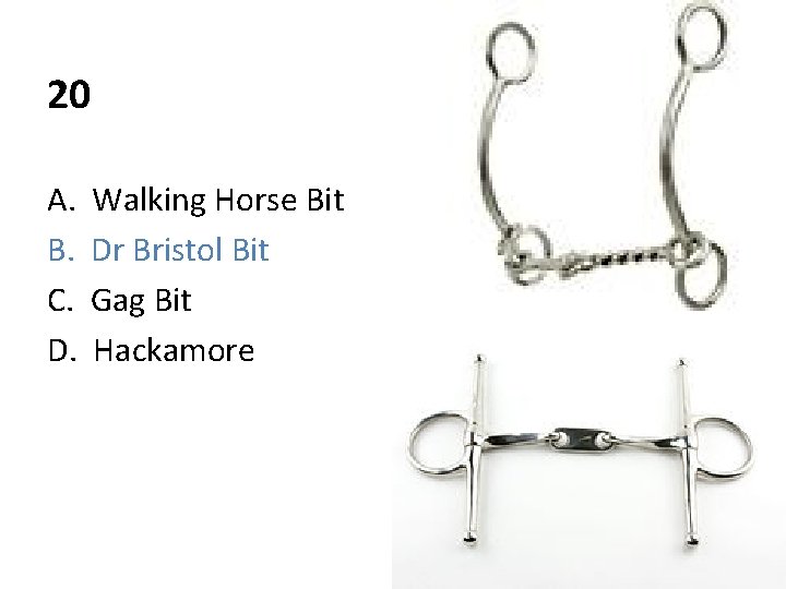 20 A. B. C. D. Walking Horse Bit Dr Bristol Bit Gag Bit Hackamore